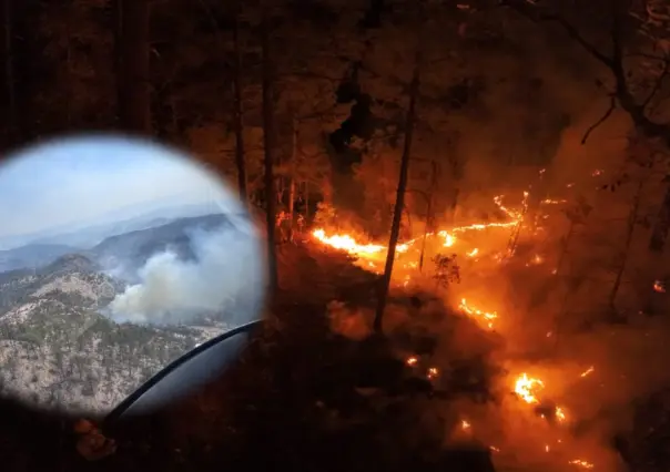 Incendios forestales en Durango: hay 3 incendios activos en el territorio estatal