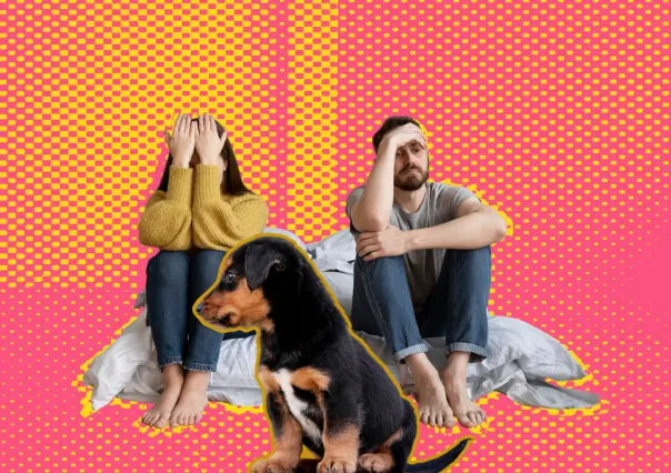 ¿Quién se queda con el perro? Esto opinan los regios de la nueva ley presentada en el Congreso