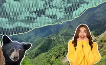 Sierra de Rayones: Descubre la variedad de animales nativos de Nuevo León que habitan en el lugar
