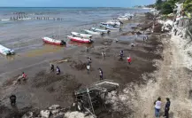 SEMAR intensifica acciones ante arribo atípico de sargazo en el Caribe Mexicano