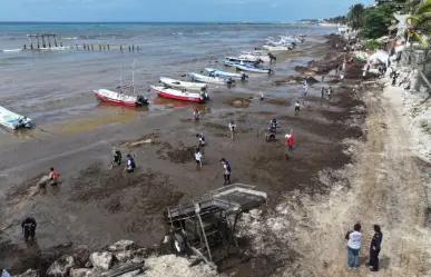 SEMAR intensifica acciones ante arribo atípico de sargazo en el Caribe Mexicano