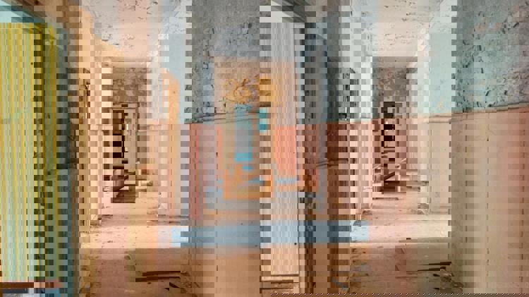 imagen-cuerpo imagen-cuerpo