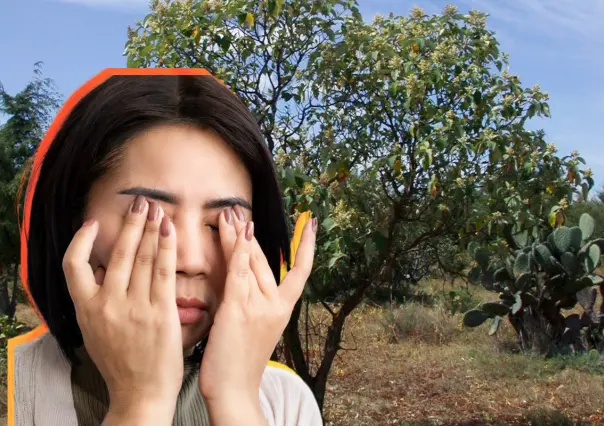 El árbol nativo de Durango que combate la fiebre gracias a la herbolaria