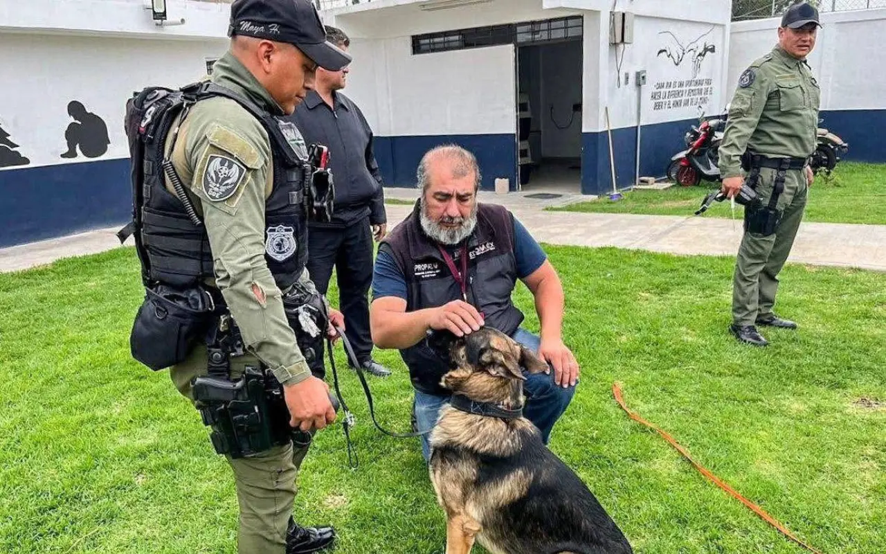 Binomio canino de la policía de Chimalhuacán durante labores de inspección; autoridades estatales revisaron su estado físico y bienestar tras una denuncia ciudadana por presunto maltrato. Foto: FB/ Mundo Patitas (Canva)