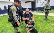 Perros policía bajo la lupa en Chimalhuacán tras denuncias de maltrato
