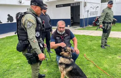 Perros policía bajo la lupa en Chimalhuacán tras denuncias de maltrato