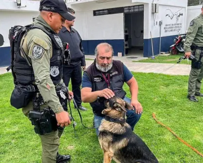 Perros policía bajo la lupa en Chimalhuacán tras denuncias de maltrato