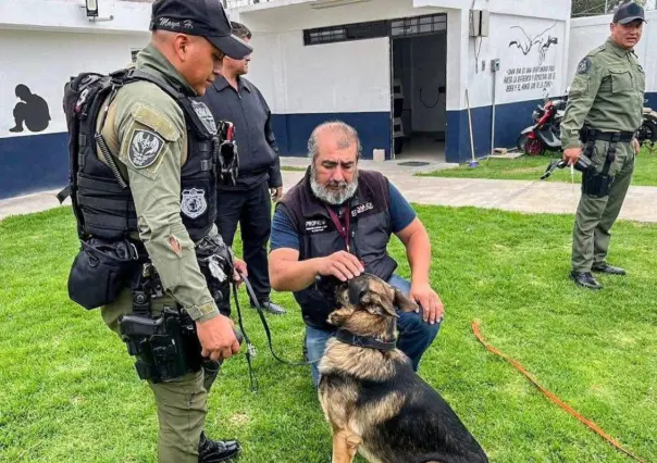 Perros policía bajo la lupa en Chimalhuacán tras denuncias de maltrato