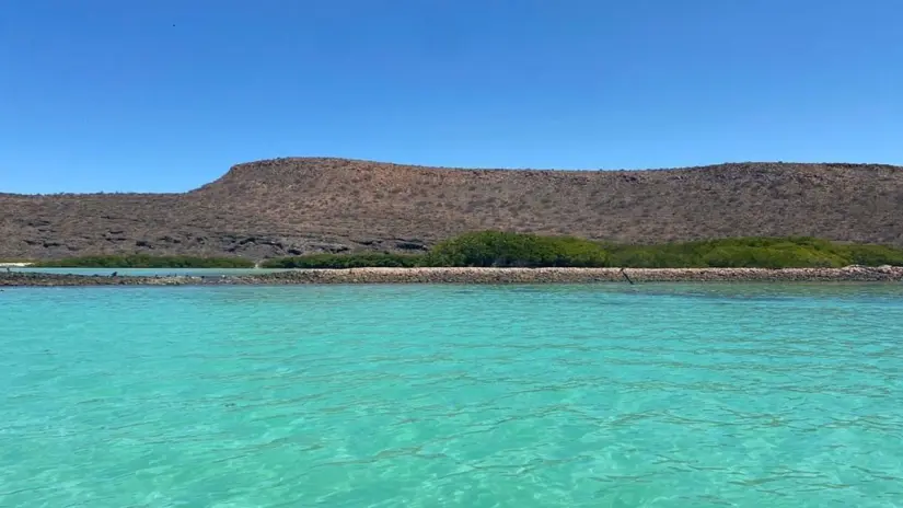 En verano, la isla es un destino popular para quienes buscan actividades al aire libre cerca de la ciudad. Foto: TripAdvisor