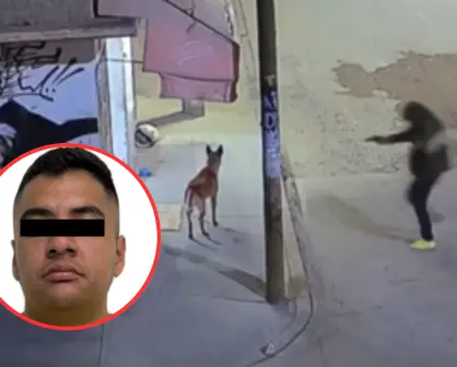 VIDEO | En Ecatepec un perrito es asesinado con más de 4 balazos; vecinos exigen justicia