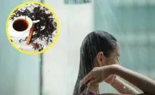 Embellece tu cabello con té negro de manera fácil y rápida