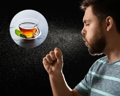 El árbol nativo de Nuevo León que con un solo té alivia la tos
