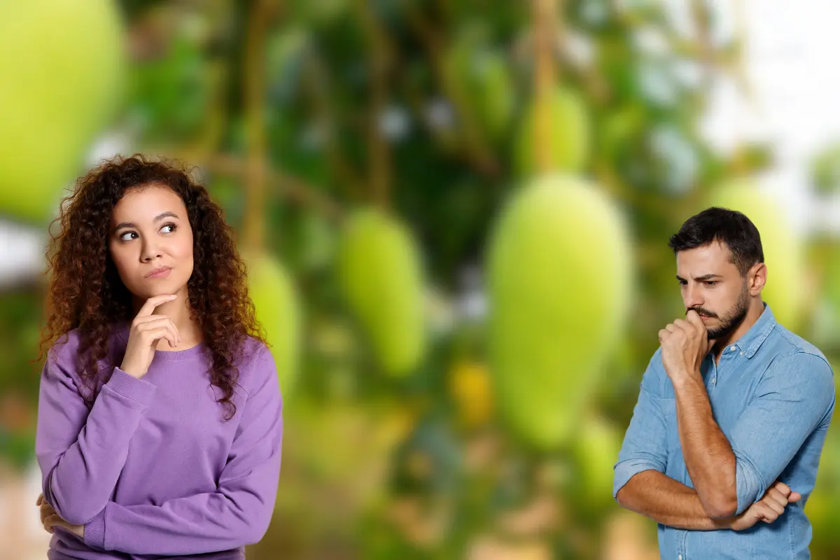 No son poco los frutos que han dejado de ser atractivos para las nuevas generaciones: desde la ciruela y la anona, hasta la mahuacata y el guamúchil. Foto: Posta Tamaulipas