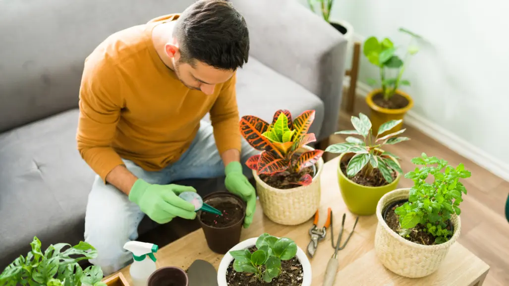 Guía práctica para hacer un fertilizante con solo 2 ingredientes