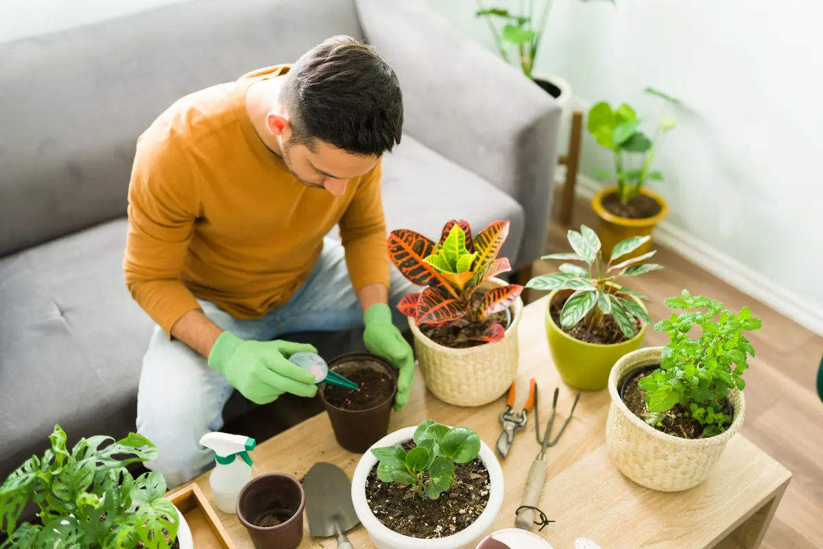 El bicarbonato de sodio tiene propiedades que protegen a las plantas contra las plagas. Foto: Canva