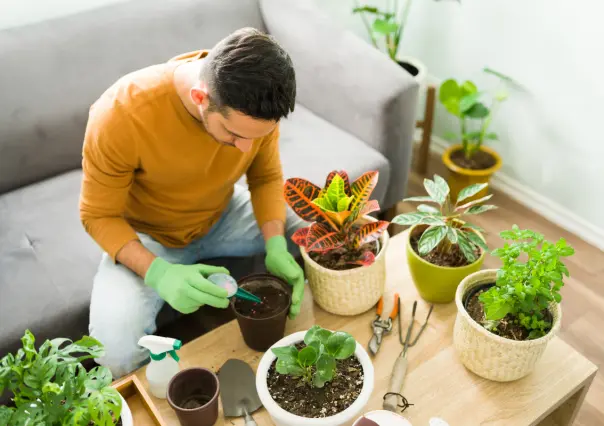 Guía práctica para hacer un fertilizante con solo 2 ingredientes