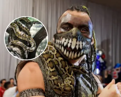 ¡Insólito robo en Monterrey! Se llevan víbora y equipo de luchador Engendro Mx