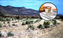 La planta nativa de Durango que llega a todo el mundo a través de una bebida ancestral