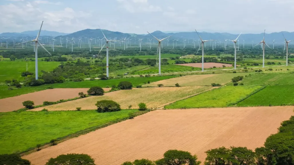 Llega nuevo parque eólico chino a Tamaulipas, ¿en qué municipio es?