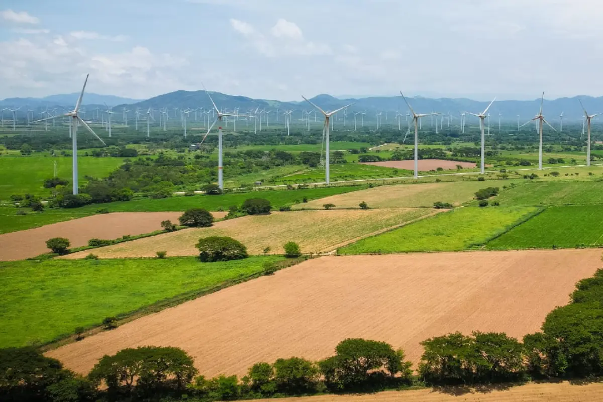En esta ocasión, una empresa china - mexicana, está planeando la apertura de un nuevo parque eólico en el estado con la intención de aumentar su productividad de energía. Foto: Secretaría de Desarrollo Energético