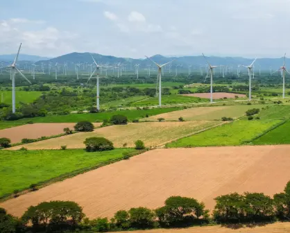 Llega nuevo parque eólico chino a Tamaulipas, ¿en qué municipio es?
