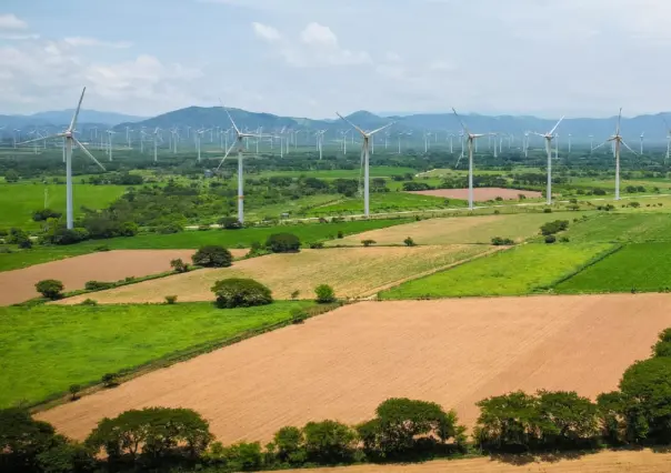 Llega nuevo parque eólico chino a Tamaulipas, ¿en qué municipio es?