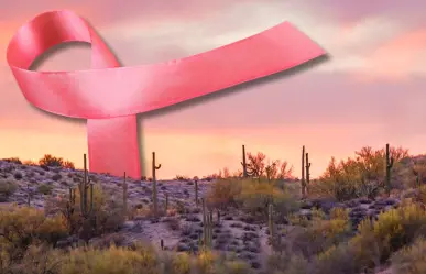 Esta planta nativa de Coahuila puede prevenir cáncer; es favorita en el norte de México