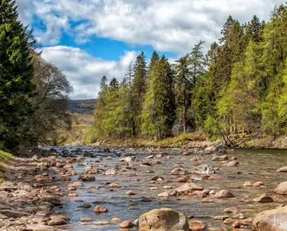 El río de Durango que parte en dos al municipio de Ocampo y abastece una hermosa presa
