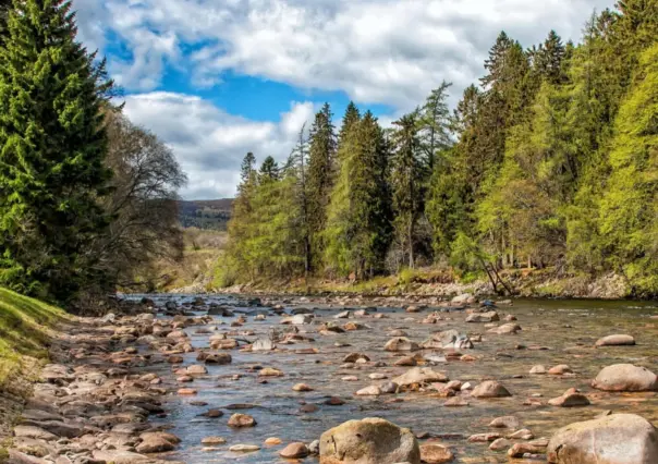 El río de Durango que parte en dos al municipio de Ocampo y abastece una hermosa presa