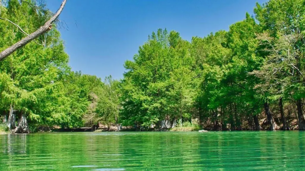 Este río a una hora de Victoria es ideal para disfrutar de un día de campo y pescar con la familia 
