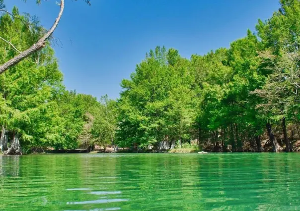 Este río a una hora de Victoria es ideal para disfrutar de un día de campo y pescar con la familia 