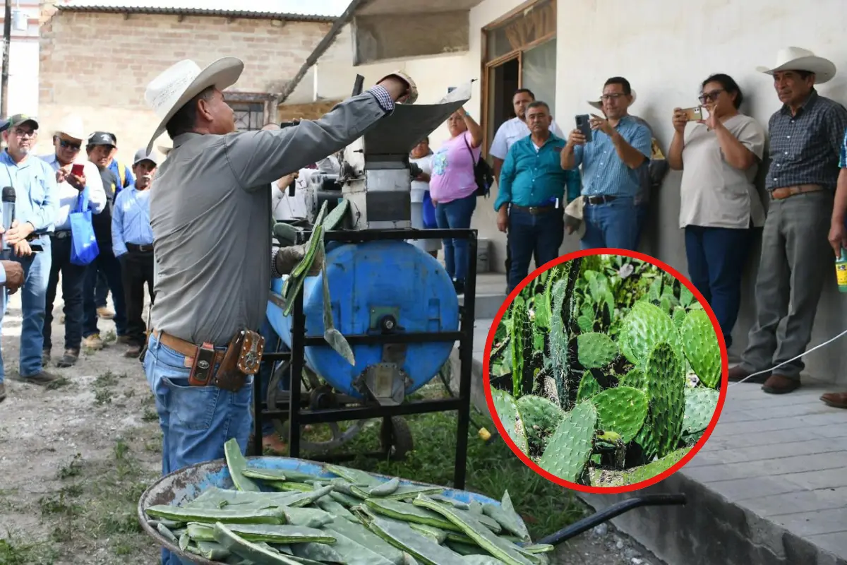 taller “Equipamiento proteico del nopal para alimentación del ganado una opción económica ante la sequía” | Foto: Daniel Espinoza