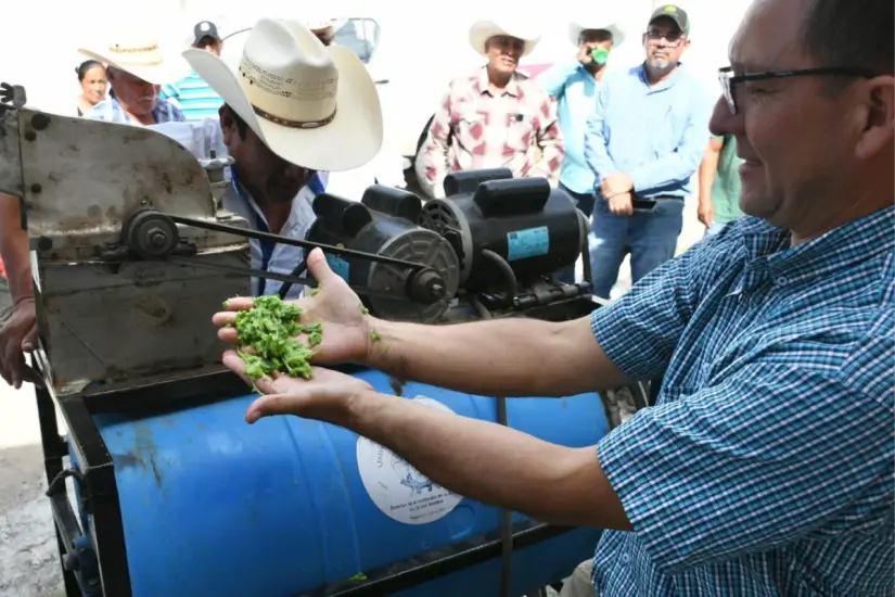 Extrayendo todos los veneficios del nopal | Foto: gobierno de México