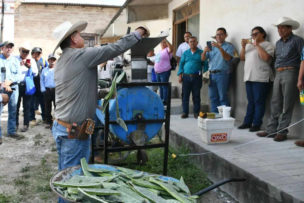Promueven en Tamaulipas el uso del nopal como estrategia alimentaria sustentable