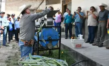 Promueven en Tamaulipas el uso del nopal como estrategia alimentaria sustentable