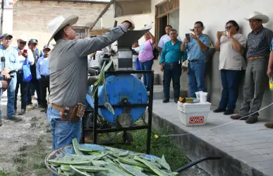 Promueven en Tamaulipas el uso del nopal como estrategia alimentaria sustentable
