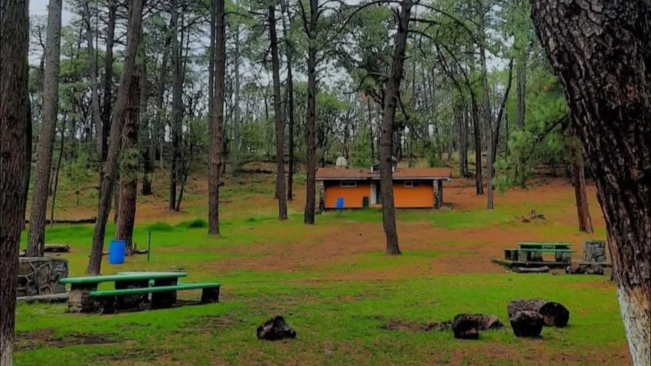 Escápate con tus hijos a este paraíso con zoológico, cabañas y actividades al aire libre en Edomex. Foto: Secretaría de Turismo de México