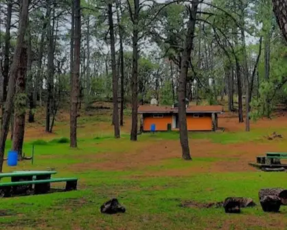 Escápate con tus hijos a este paraíso con zoológico, cabañas y actividades al aire libre en Edomex