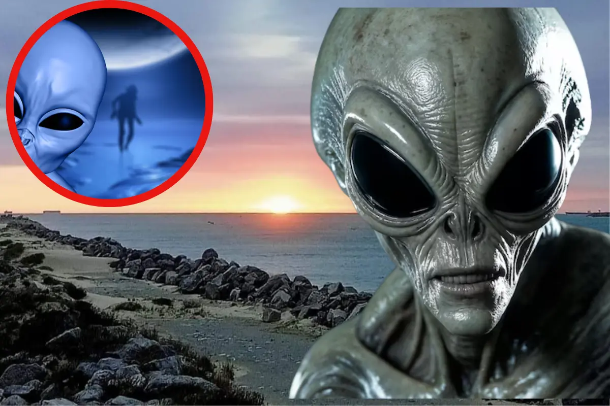 Estos son 5 sucesos que alimentan la leyenda de la existencia de aliens en Tampico - FOTO: Sanjua Pineda, fuentes: Paya Miramar y Freepik
