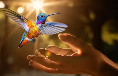 Este es el animal nativo de Tamaulipas que tiene colores iridiscentes
