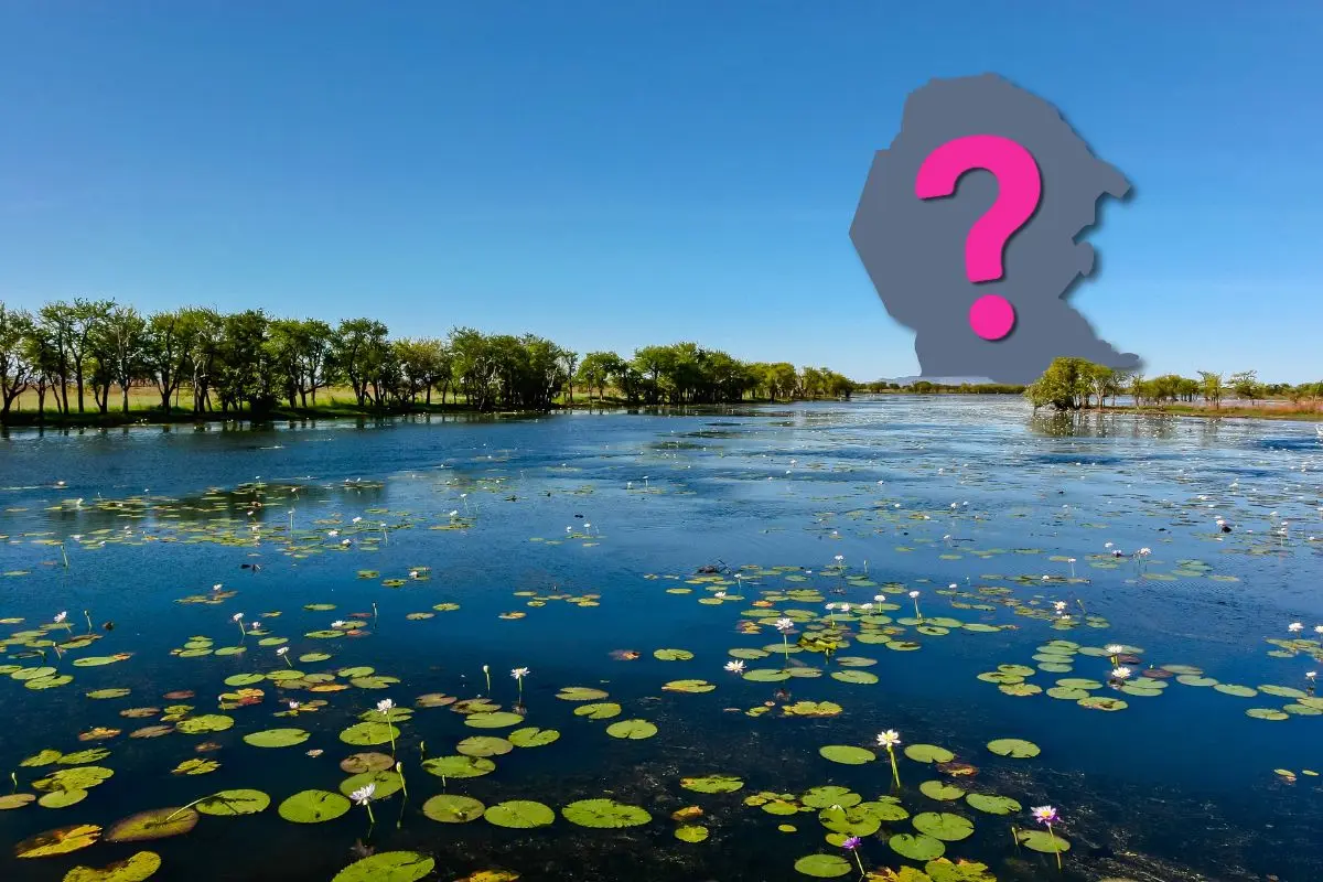 Este es el animal nativo más raro de todo Coahuila / Foto: Composición de Canva