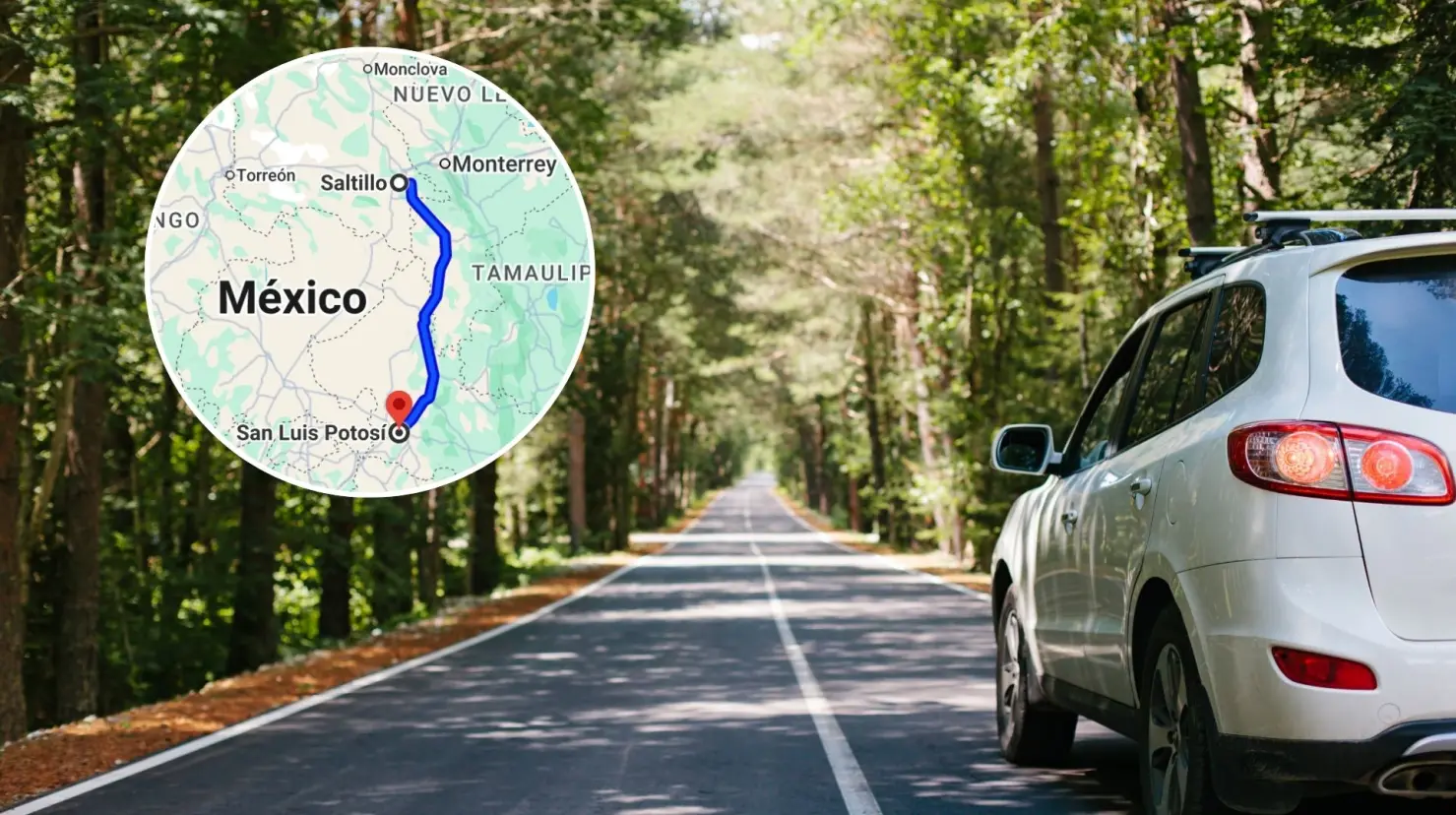 Puedes viajar de Saltillo a San Luis Potosí en seis horas. (Fotografía: Canva)