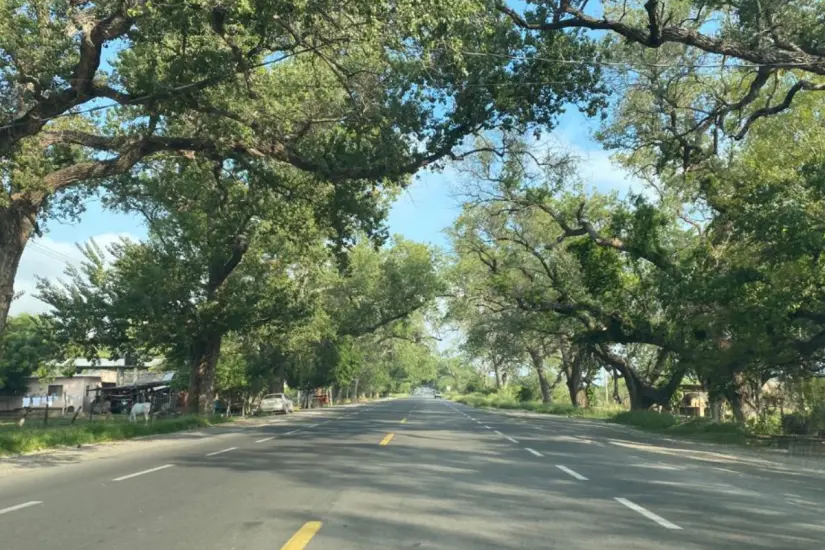 Carretera 85 Victoria-Monterrey a la altura de El Carmen | Foto: La Verdad de Tamaulipas