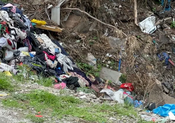 Basura sin control en Naucalpan: ¿qué son los "chincheros" que invaden las colonias?