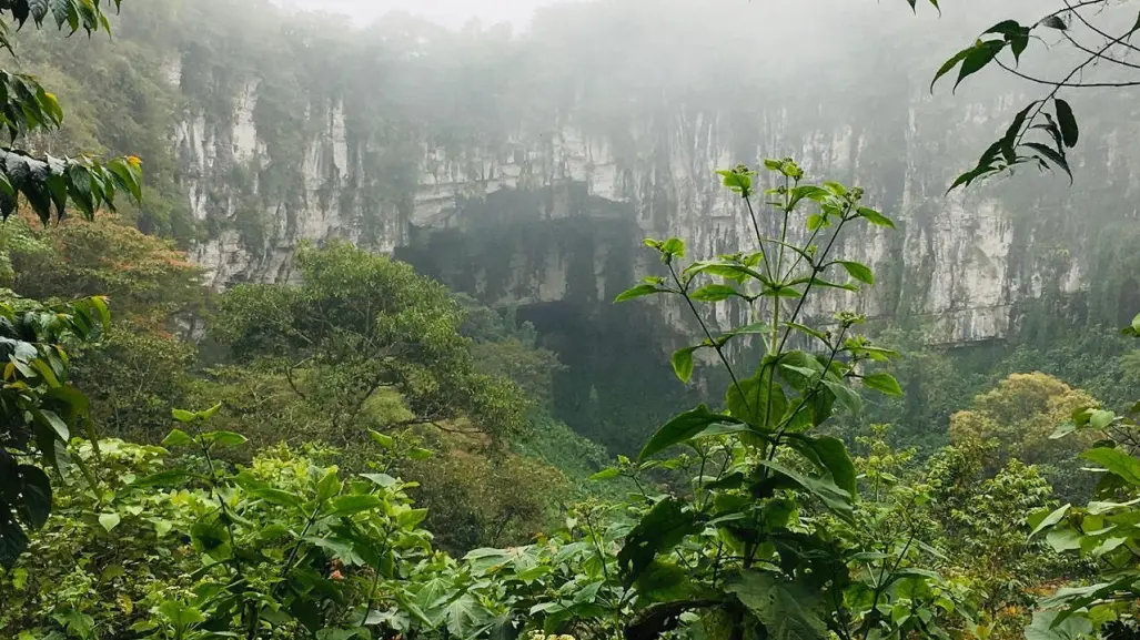 Cuetzalan: Este bosque de niebla le da vida a Puebla