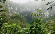 Cuetzalan: Este bosque de niebla le da vida a Puebla