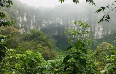 Cuetzalan: Este bosque de niebla le da vida a Puebla