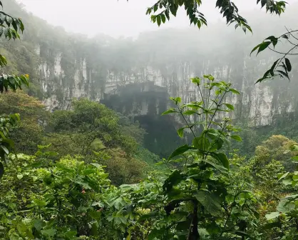 Cuetzalan: Este bosque de niebla le da vida a Puebla