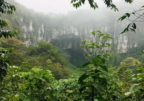 Cuetzalan: Este bosque de niebla le da vida a Puebla