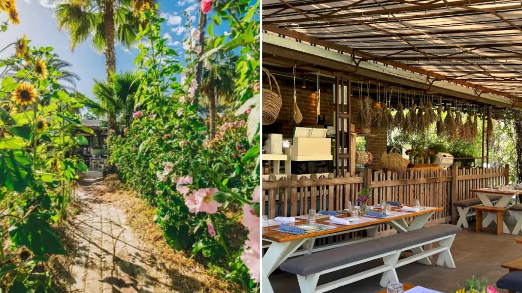 El restaurante más bonito de San José del Cabo está escondido entre girasoles y palmeras